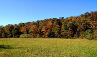 Altenbrauch Farm - Camping in the Hocking Hills - McArthur - 6