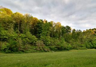 Altenbrauch Farm - Camping in the Hocking Hills - McArthur - 5