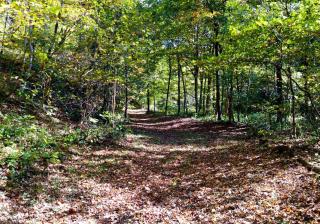 Altenbrauch Farm - Camping in the Hocking Hills - McArthur - 2