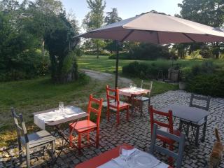 Domaine Maison Dodo - Lamonzie-Saint-Martin - 8