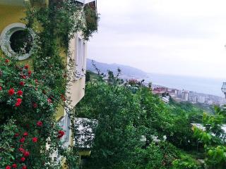Paradise Villa Trabzon - Trabzon - 8