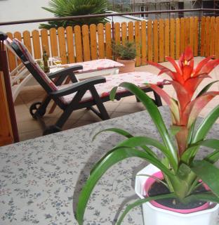 Apartman Klara - 5