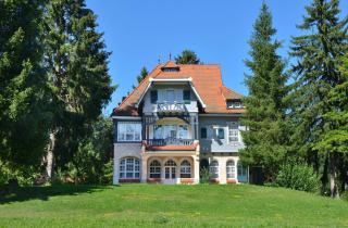 Schwarzwald Parkhotel - Königsfeld im Schwarzwald - 9