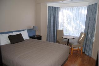 Airlie House Motor Inn - Scone - 0