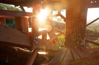 Mariri Jungle Lodge - 2