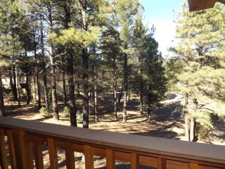 Arizona Mountain Inn & Cabins - Flagstaff - 5