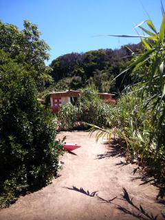 Les Bambous, camping naturiste - Île du Levant - 7