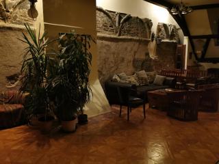 Downtown Apartment Bratislava - Bratislava - 3