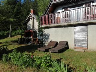 Holiday house Nature - Ravna Gora - 2