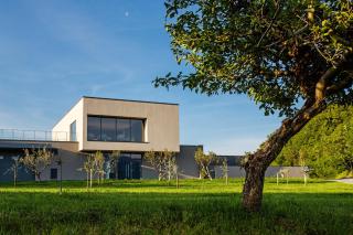 Apartmaji Guerila - Ajdovščina (Aidùssina) - 5