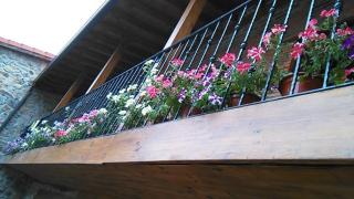 Casa Rural La Mimosa (alquiler integro) - Quijano - 1