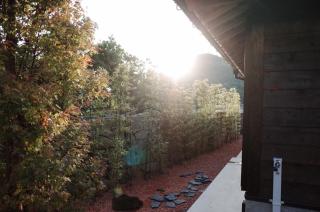 Okune - Goto - 5