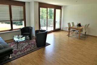 Baselblick - Lörrach - 7