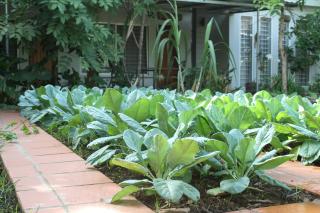 My Parents Guesthouse - Kampot - 3