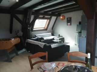Gîte Les papillons - Ribeauvillé - 7