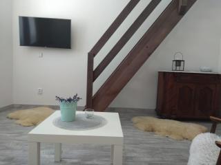 Apartmány U splavu - Veselí nad Moravou - 3