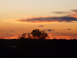 Le Ginestre B & B - 1