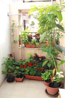 Apartment Bucevic - Šibenik - 8