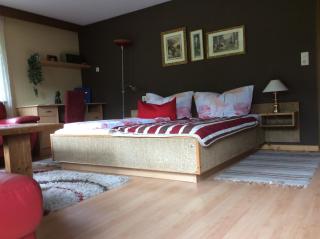 Alpbach Apartments - Reith im Alpbachtal - 1