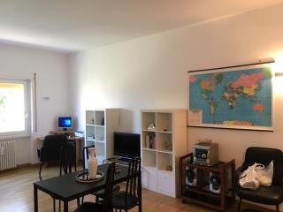 AppleCat - Roma - 9