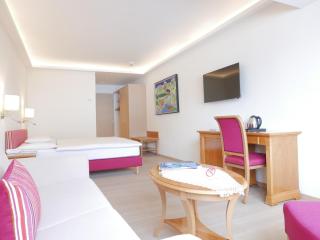 ALPIN- Das Sporthotel, SUMMERCARD included May - September - Zell am See - 9