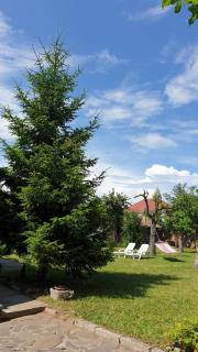 Martha Residence - Sibiu - 1