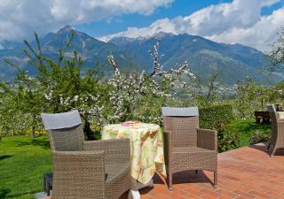 Pension Planta - Merano - 7