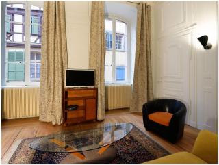 Appartement Le 22 - Colmar Centre Parking Privatif en option - Colmar - 3