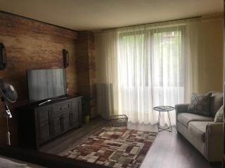 Xili's Central Apartment, Netflix & Free Parking - Braşov - 7