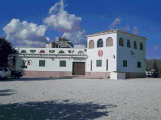 Finca Buenavista - Chilches - 8