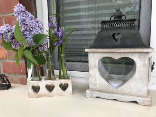 Ferienwohnung Forstweg - 7