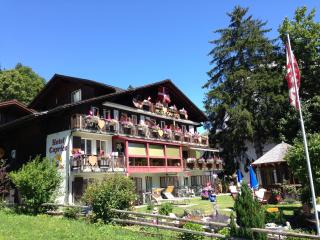 Hotel Caprice - Grindelwald - Grindelwald - 8