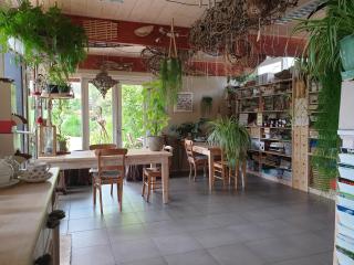 Appartementen Het Oude Atelier - Schoorl - 9