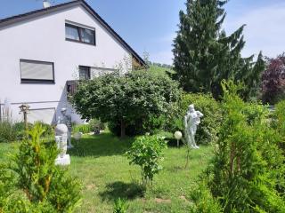 Thuja am Weinberg - Vaihingen an der Enz - 1