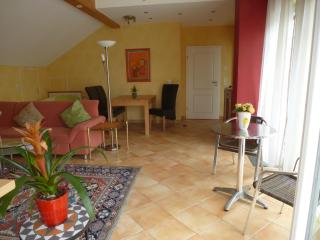 TOP Ferienwohnung Limburg "Am Bildstock" - Limburg an der Lahn - 8