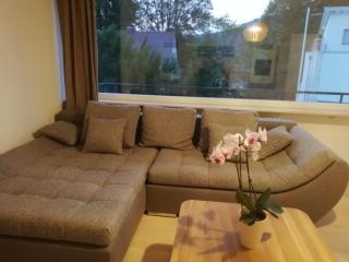 Moscow Areal Suite - Baden-Baden - 9