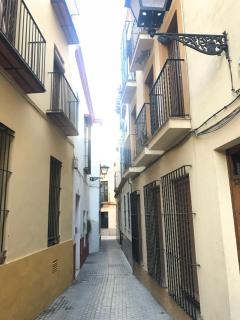 Apartamento en el centro para 4 personas - Siviglia - 2