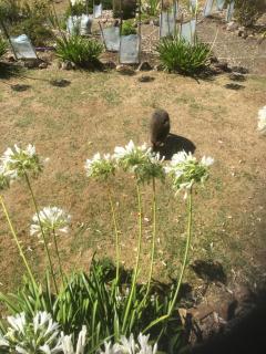 House on the Hill Bed and Breakfast - 1