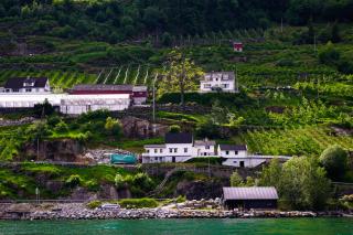 Fjord House Hardanger - 1