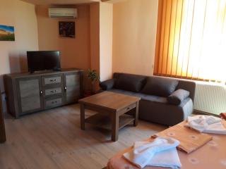Pensiunea Nicol Tulcea - Tulcea - 5