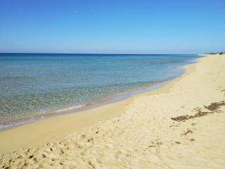 mare profumo di mare - 8