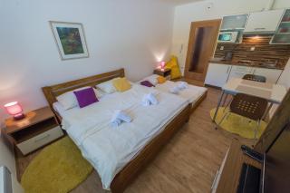 Apartmán Lipno 20 - Lipno nad Vltavou - 8