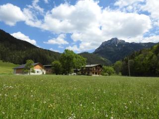 Bauernhof Moar - Kernhof - 9