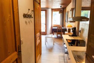 Studio Panorama - Vue montagne et village, Centre la Clusaz - AravisTour - La Clusaz - 3