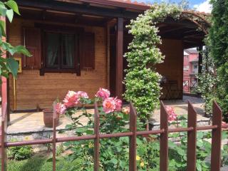 WOODEN HOUSE IN IOANNINA - Ioannina - 9