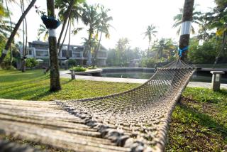 ama Stays & Trails Sherlys Ente Kumbalanghi, Kochi - 4