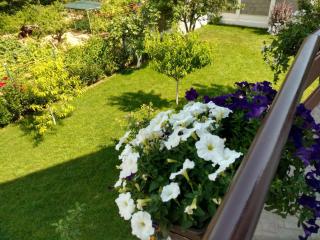 Apartments in Golden Sands park near the sea - Varna City - 7