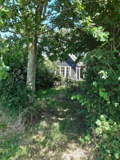 Zeeuws Huisje Colijnsplaat - Colijnsplaat - 6