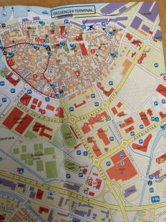 Lily - Capodistria - 2