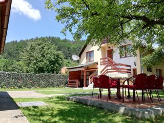 Apartments Šćepanović - Kolašin - 7